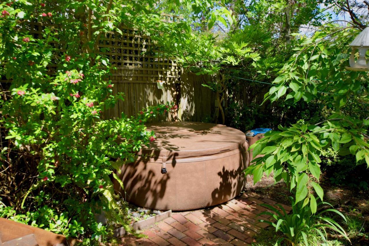 The Gully Cottage Of Катумба Екстериор снимка